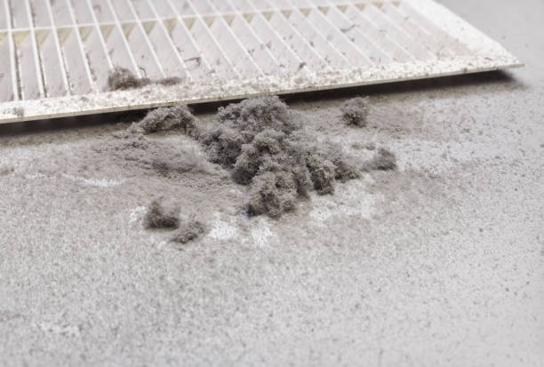 Best Ventilation Cleaning Services  in Shavertown, PA