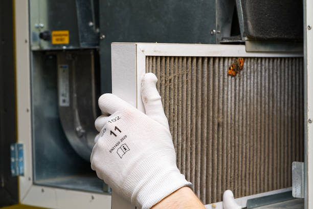 Best Professional Duct Cleaning Services  in Shavertown, PA