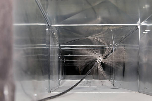 Air Duct Mold Removal in Shavertown, PA